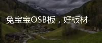 兔宝宝OSB板，好板材芯选择