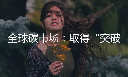 决定了这届大会的碳市成败