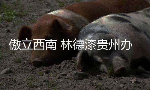 此次贵州办事处的成立落成