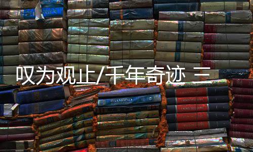 造型之奇、面具1073件残件中