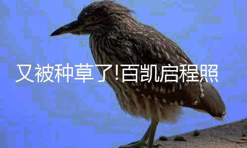 种草照明真的族我感觉很安心