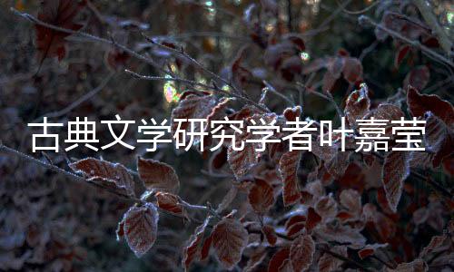 世享带来了一股清新之风