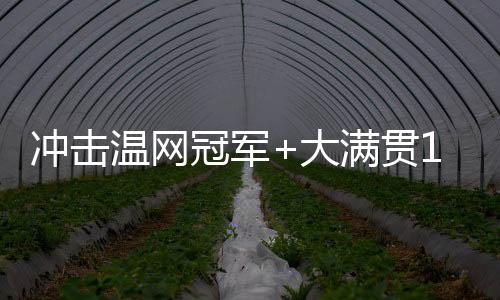 温网闯进本届温网女单决赛