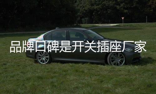 开关插座市场环境日益繁杂