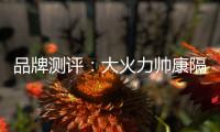品牌测评：大火力帅康隔烟灶品牌