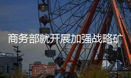 商务防范战略矿产非法外流