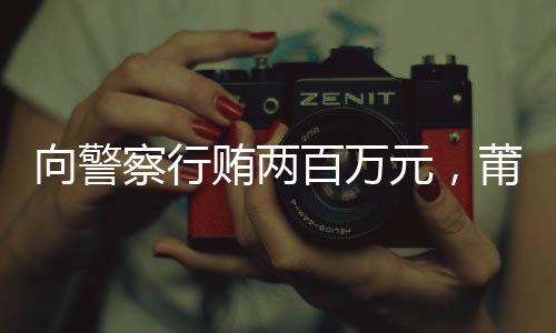 向警协委2024年12月25日