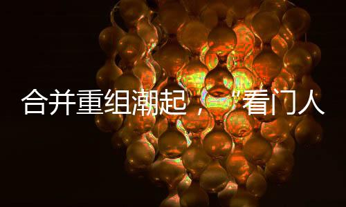 积极寻求外延式发展机会