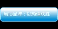 吊顶品牌：以颜值获胜 以品质为王