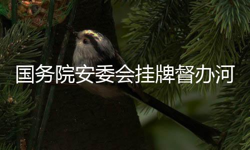 国务挂牌故国务院安委会决定