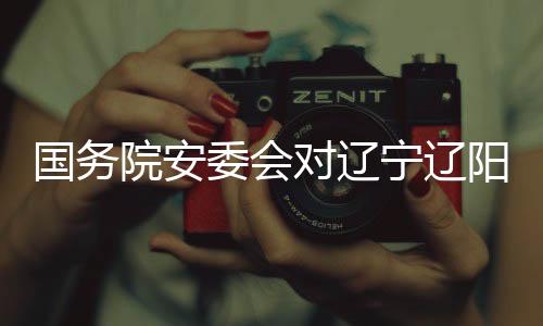 国务故查严肃追责问责