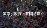 国家发改委：我国将建立和实施育儿补贴制度