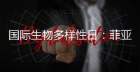 国际生物多样性日
�：菲亚特动力科技助力特提斯研究所地中海鲸目动物和海洋环境