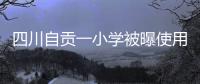 四川自贡一小学被曝使用发臭猪肉，官方通报