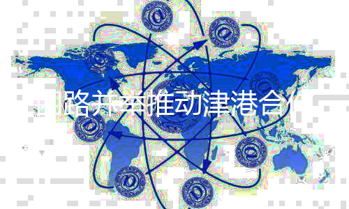引入战略投资者管理经营
