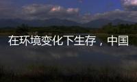 在环境变化下生存	，中国十大管业品牌以最快的速度做调整