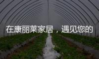 在康丽莱家居，遇见您的专属床垫