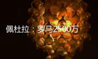 快排公司十年历程，霸屏兔 seo 的崛起与坚守