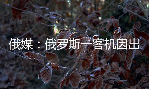 目前飞机已平安着陆