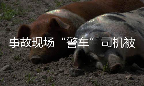 案件正在进一步办理中