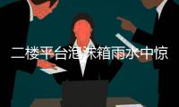 二楼平台泡沫箱雨水中惊现古老物种“仙女虾” 专家：虫卵或随鸟粪而来