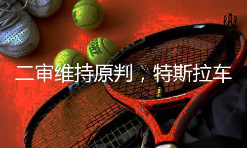 向特斯拉道歉并赔偿25万元