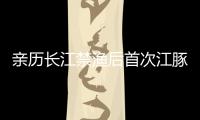 亲历长江禁渔后首次江豚科考
，在干旱的鄱阳湖寻找江豚