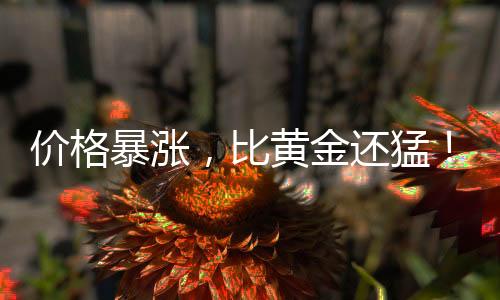 比同期黄金涨幅还要高