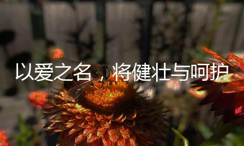 以爱之名更能享受舒适