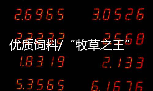 矿山的牧草之王“主力军”
