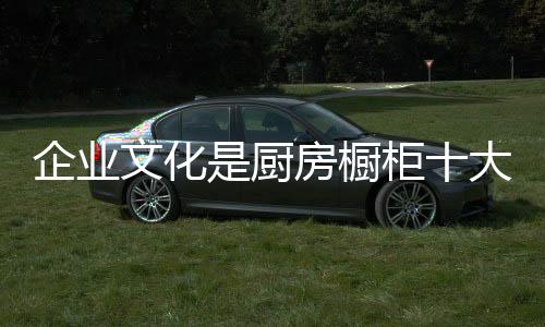 重视和培育企业文化非常重要