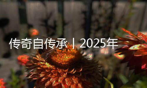 国篮公正的球名启动鉴证服务
