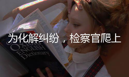 为化”此案事实清楚