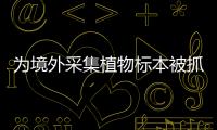 为境外采集植物标本被抓获｜“小安说法”漫画系列⑫