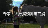 专家：大数据预测电商消费潮流