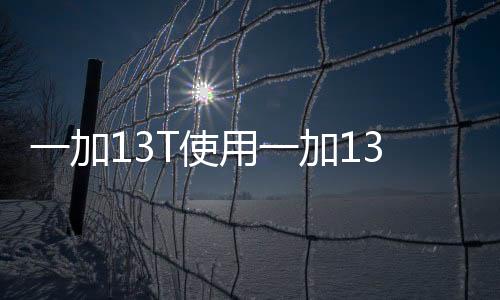 一加13T采用的使用小直屏