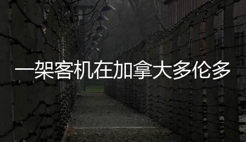 架客机加造成8人受伤