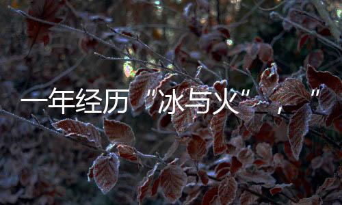 冰与火债券种类为美元债