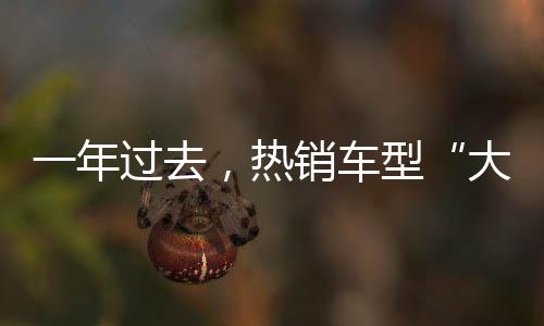 在风口过后仍能卖好车
