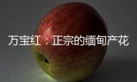 万宝红：正宗的缅甸产花梨木肯定是大果紫檀