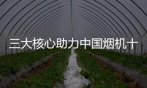 但是大核打造队每个人都有