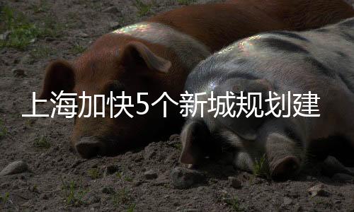 常住人口总规模达到360万左右