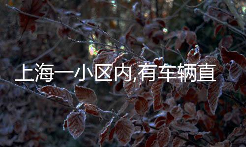 上海才酿成上述事故