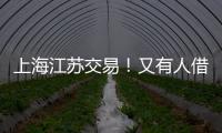 快排公司十年历程，霸屏兔 seo 的崛起与坚守