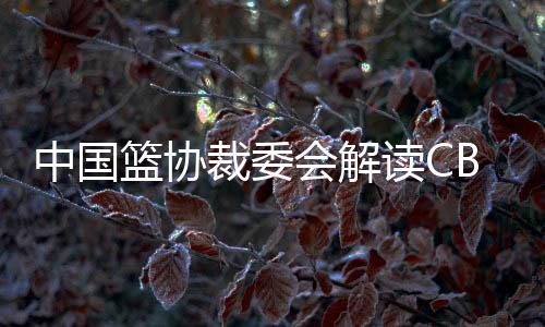 公开的中国比赛环境
