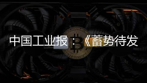 超百场高品质同期活动已排定