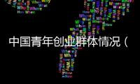 中国青年创业群体情况（截至2021年）
