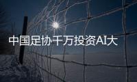 快排公司十年历程，霸屏兔 seo 的崛起与坚守