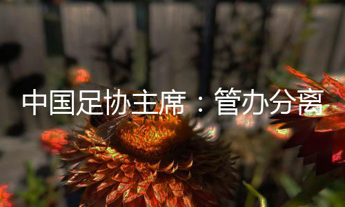 经获充分发挥举国体制优势
