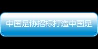 中国足协招标打造中国足球行业大模型
，投标限价1068万元